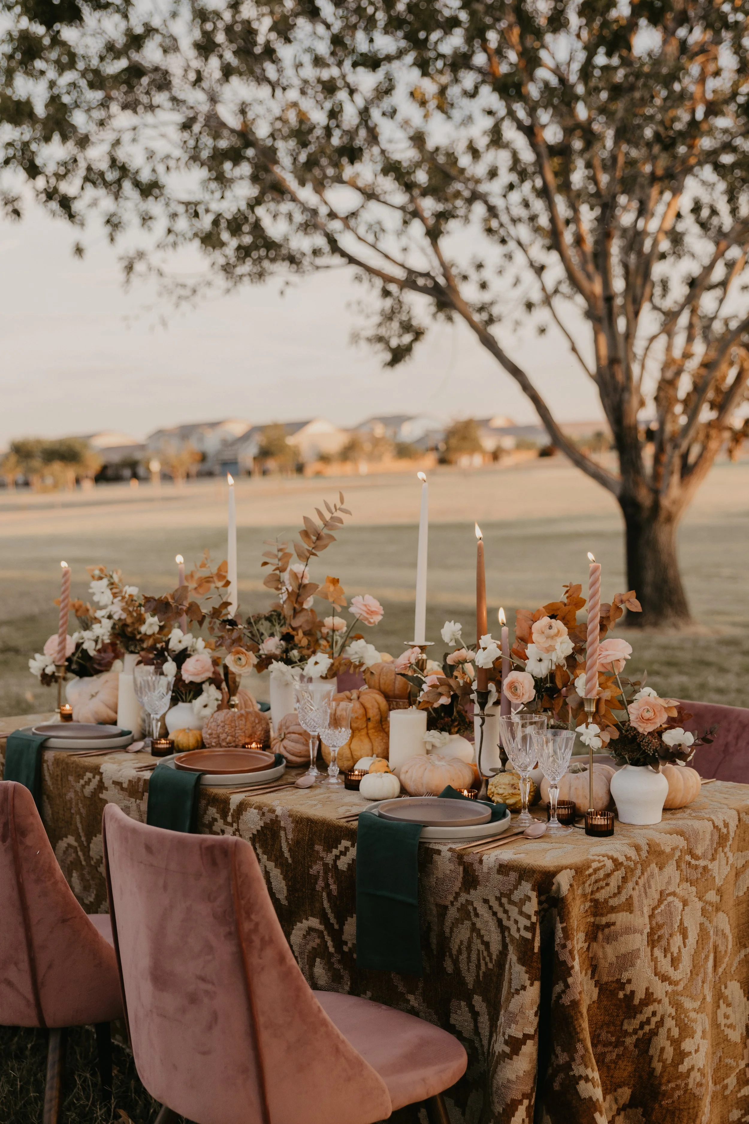 Elegant Outdoor Thanksgiving